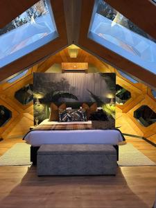 The Hive - Jungle at Misty Mountain Reserve