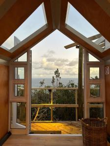 The Hive - Jungle at Misty Mountain Reserve