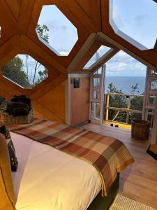 The Hive - Jungle at Misty Mountain Reserve