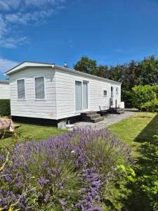 Eldorado aan Zee - 斯霍尔