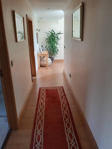 Atlantic View Cottage in Killybegs