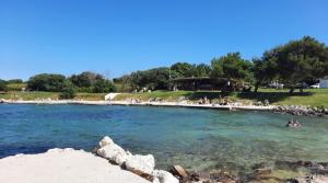 Apartment Olive Istra