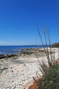 Apartment Olive Istra