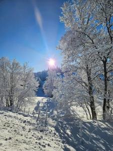 Maisons de vacances Charme et quietude au coeur du Haut-Jura : photos des chambres