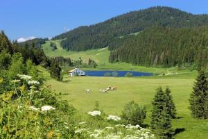 Maisons de vacances Charme et quietude au coeur du Haut-Jura : photos des chambres