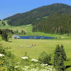 Maisons de vacances Charme et quietude au coeur du Haut-Jura : photos des chambres