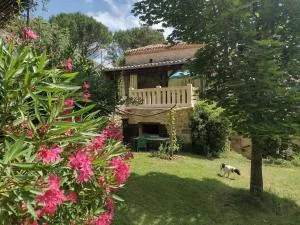 A La Maison des Oiseaux - Labouquerie