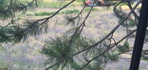 Maisons de vacances Aurel inattendu : photos des chambres