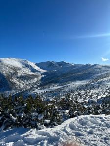 Advel Guest House-Rila Mountain Retreat