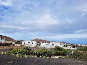 Apartamentos Falcón