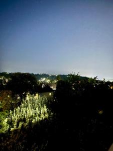 Gästehaus Anna Top 4