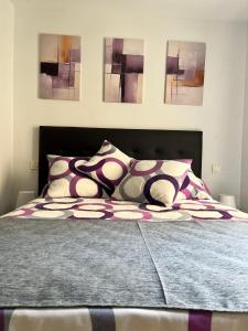 El BC Zaragoza - Aljafería