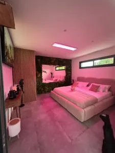 Reve D Amazonie & Chambre Standard - Rousson