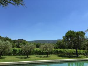 La Cour Intérieure Ménerbes