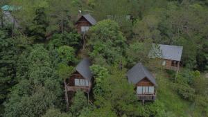 Alaya Stays Duplex Cottage with Tree House - Suro Woodcrest Chalet