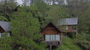 Alaya Stays Duplex Cottage with Tree House - Suro Woodcrest Chalet
