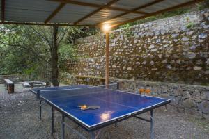 Alaya Stays Cottage with Tree House - Suro Woodbine Chalet