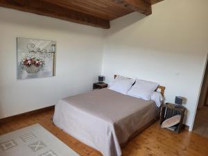 Maisons de vacances Gite de La Vigne : photos des chambres