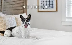 Salty Sisters by Oversee 30A - 格雷顿比奇