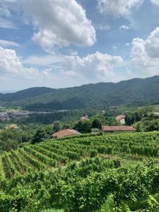 Polisena LAltro Agriturismo Veg