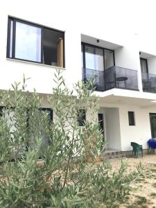 Rine Apartments