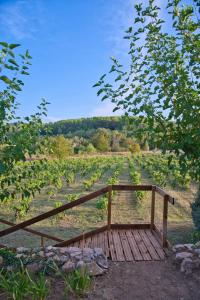 B&B / Chambres d'hotes Les Apiers, chambre d-hotes de charme a Carces : photos des chambres