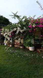 Cabaña Ecoturismo Los Mangos - Bonda