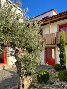 Casa Dr Ramiro Salgado - Douro Superior, Torre de Moncorvo