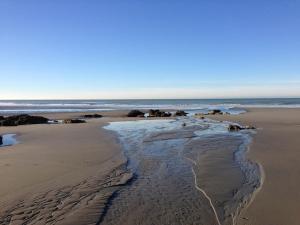 Maisons de vacances Maison a 300m de la mer Wimereux : photos des chambres