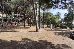 Casa Pillo Nereidi - 30 m dal mare e con vista mare