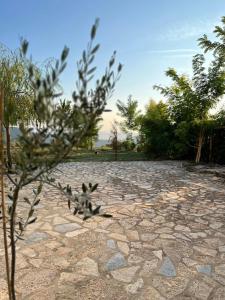 Selim Guesthouse