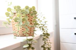 Studio 20 Ostfriesland