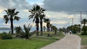 Poetto Casa Bach Ck img12