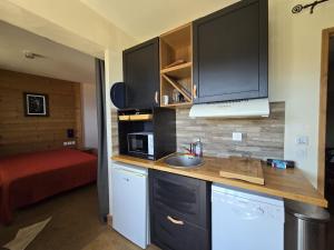 Appartements Super appart Risoul Alpes du Sud : photos des chambres