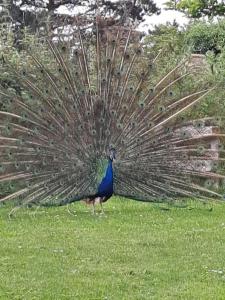 l adresse en Bretagne