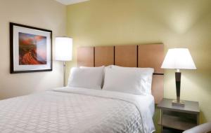 Studio Queen Suite room in Candlewood Suites Plano East an IHG Hotel