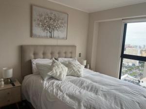 Deluxe Aparment San Isidro