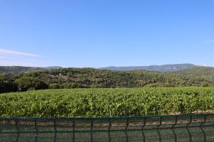 Les Vignes du Luberon