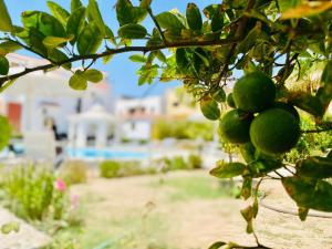 villa in heart of hurgada