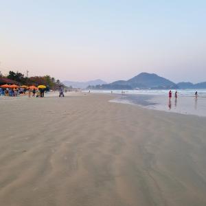 Apto com 2 dorm com churrasqueira e piscina - PG5