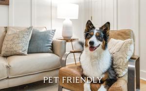 Two Rocking Chairs on a Porch by Oversee 30A