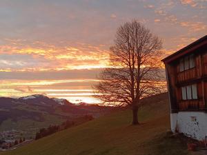 Ferienwohnung Panorama Blick