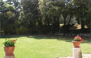 Maisons de vacances Awesome Home In Bollene With Wifi : photos des chambres