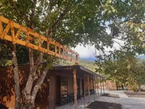 AskRioni - Tsʼageri