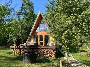 Pumbaa House at Casa Twiga, Melicesti, Prahova, Romania - Ţipăreşti