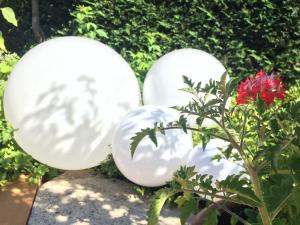 B&B / Chambres d'hotes La Villa Victoria Auvergne : photos des chambres