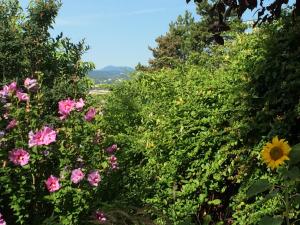 B&B / Chambres d'hotes La Villa Victoria Auvergne : photos des chambres