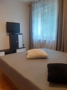 Apartament PARTER CU GRADINA
