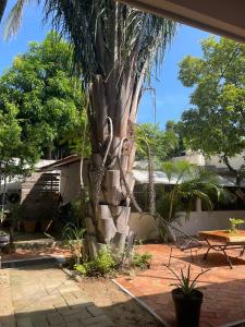 Casa Sixta a 7min del aeropuerto internacional PMX y 2 cuadras terminal autob ADO