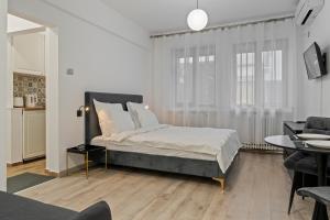 Brand New Studio Cismigiu Park CTI